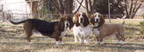 Group shots