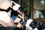 Norm07-05-06_5.jpg